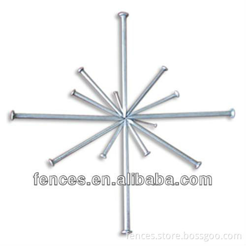 Common Nails /common iron nail